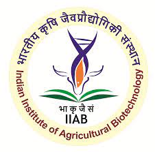 IIAB